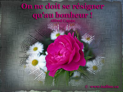 Bonjour mes amis(es)